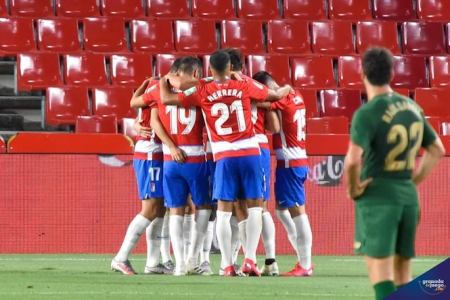 Los jugadores del Granada CF celebran un tanto (JOSÉ M. BALDOMERO) Los jugadores del Granada CF celebran un tanto (JOSÉ M. BALDOMERO)