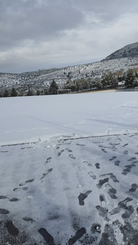 (Estado del campo del Alfacar
