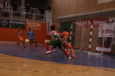 El Sima Granada igualó ante Futsal Molina (SIMA GRANADA) El Sima Granada igualó ante Futsal Molina (SIMA GRANADA)