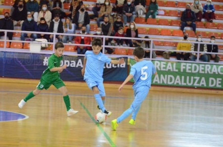 Las jóvenes promesas del fútbol sala andaluz están dejando muestras de su calidad en Guadix (RFAF) Las jóvenes promesas del fútbol sala andaluz están dejando muestras de su calidad en Guadix (RFAF)