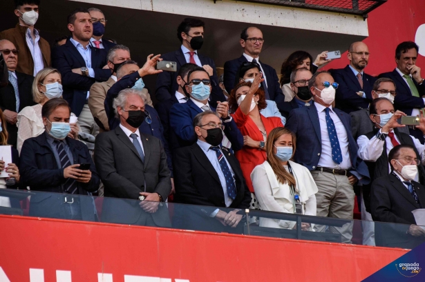 El palco del `Nuevo Los Cármenes`, en el partido contra el Levante (JOSÉ M. BALDOMERO)