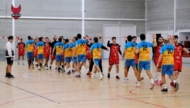 Domca BMC Granada (BM CIUDAD DE GRANADA) 