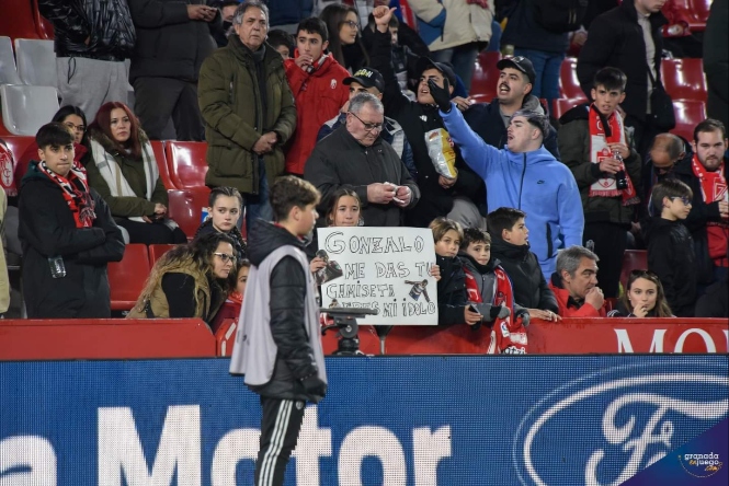 Afición del Granada CF en el partido ante el Atlético de Madrid (JOSÉ M. BALDOMERO) 