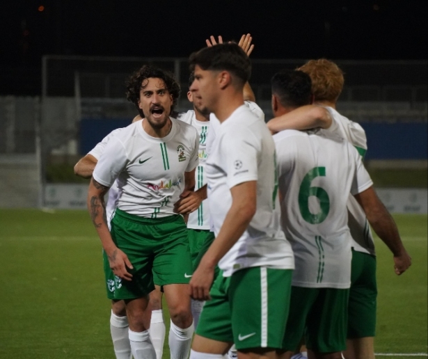 La selección andaluza quiere ganar la Copa de las Regiones (RFAF) La selección andaluza quiere ganar la Copa de las Regiones (RFAF)