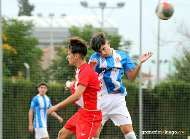 El Español Albolote cadete empató ante la UD Almería B (J. PALMA) El Español Albolote cadete empató ante la UD Almería B (J. PALMA)