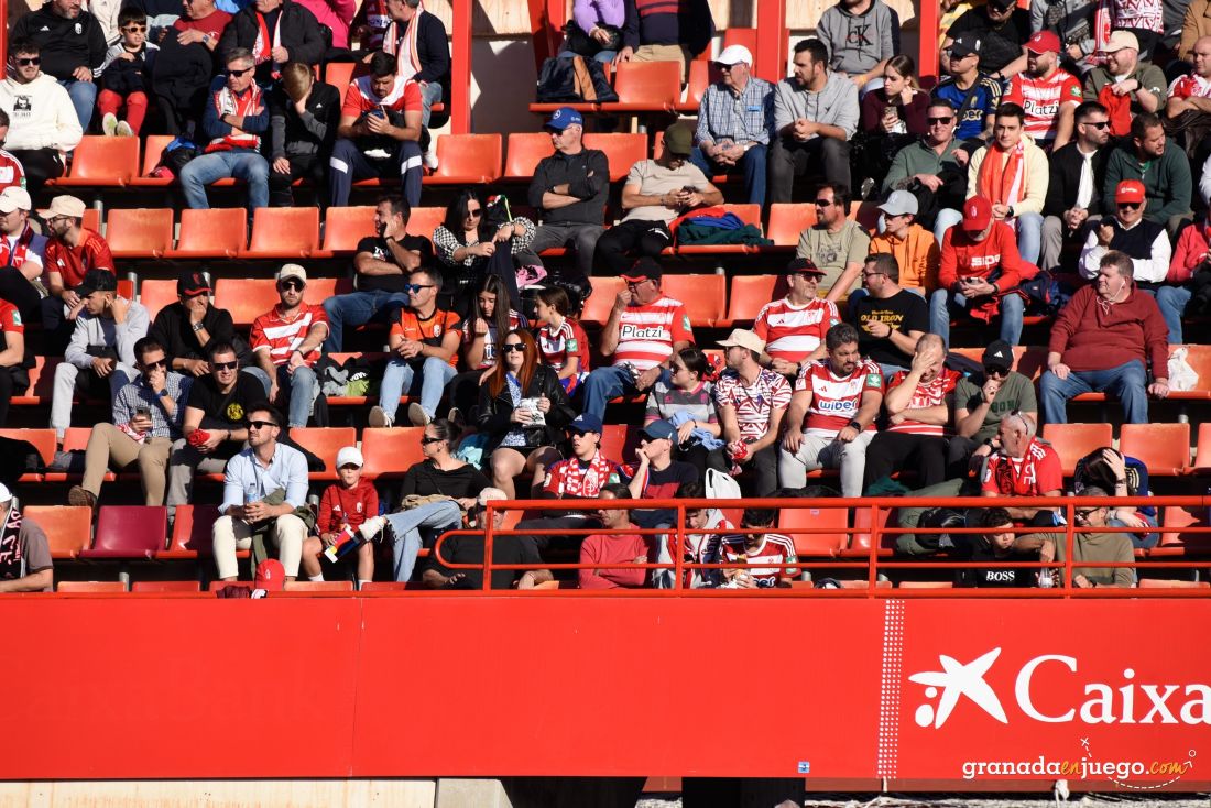 Último partido del año en Los Cármenes (JOSÉ M. BALDOMERO)