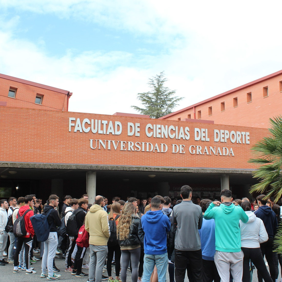 Facultad de Ciencias del Deporte 