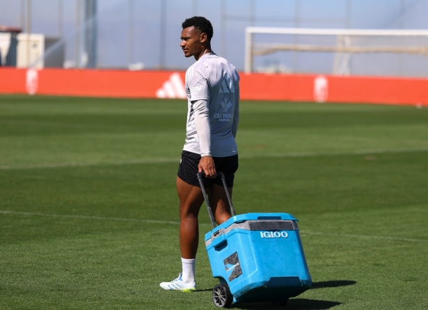Williams se marcha a la MLS (J. AZCOYTIA) Williams se marcha a la MLS (J. AZCOYTIA)