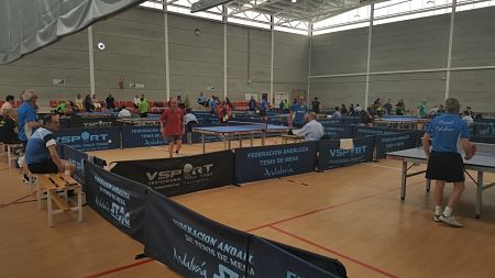 Cullar Vega ha acogido el Top de veteranos de Tenis de Mesa