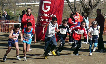 Salida de la prueba celebrada en Guadix el pasado sábado (GRJ) Salida de la prueba celebrada en Guadix el pasado sábado (GRJ)