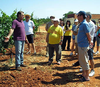 Los Trotanoches durante su visita a los viñedos (GRJ) Los Trotanoches durante su visita a los viñedos (GRJ)